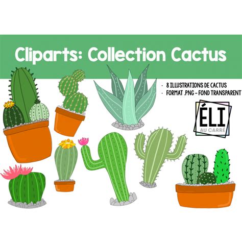 Cliparts Collection Cactus