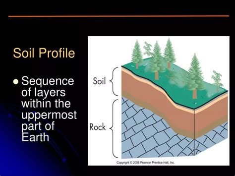 PPT - Soil Profile PowerPoint Presentation, free download - ID:3991513