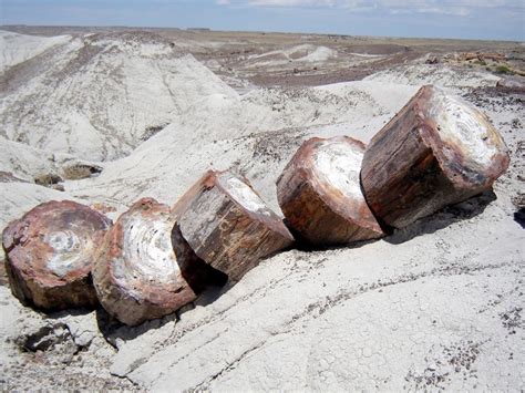 The Petrified Forest National Park Arizona