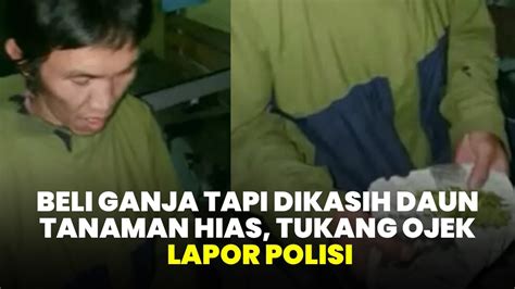 Kocak Beli Ganja Tapi Dikasih Daun Tanaman Hias Tukang Ojek Lapor