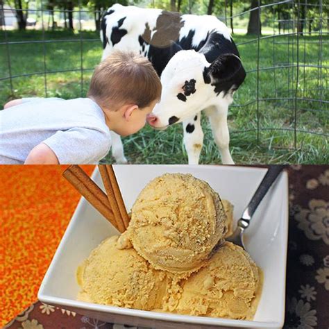 17 Farms in America Where They Make (and You Can Taste!) Ice-Cream