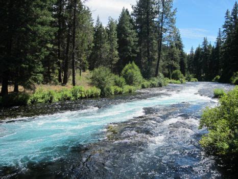 River near Bend, Oregon Bend, Take A Break, Mood Board, River, Inspo ...