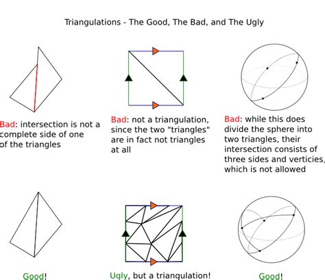 Euler Characteristic