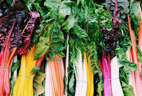 The 20 Best Sources Of Fiber On A Plant Based Diet The Beet