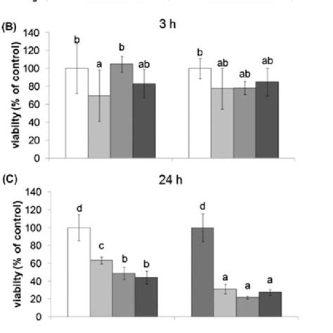 A UVC Induced Apoptotic Morphology 24 H After UVC Radiation In