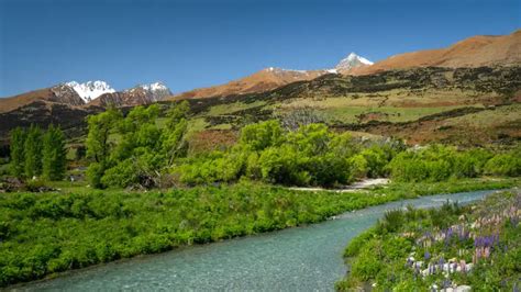 SPRING IN NEW ZEALAND - The BEST places to visit