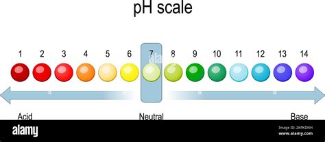 Scala Ph Tabella Dei Valori Di Ph Per Soluzioni Acide E Alcaline