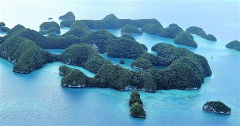 Palau The Last Paradise And Its Floating Garden Islands The