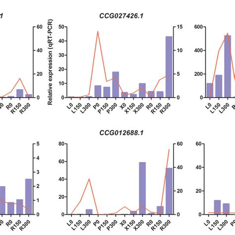 Qrt Pcr Quantitative Real Time Pcr Verification Of Six Selected Degs