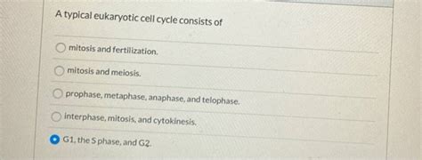 (Get Answer) - A Typical Eukaryotic Cell Cycle Consists Of Mitosis And...| Transtutors