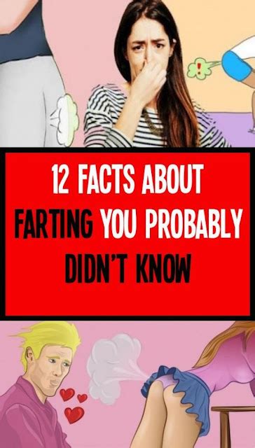 12 Facts About Farting You Probably Didnt Know Wellness Click