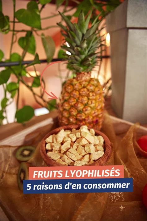 Transformez Vos Repas Avec Les Fruits Lyophilis S Exotiques D Couvrez