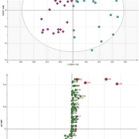 Scores Plot And S Plot Resulting From Opls Da Applied To The H Hr Mas