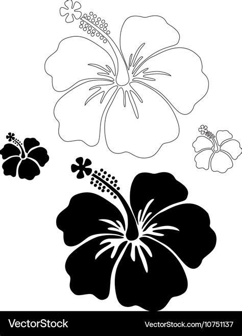 Hibiscus Silhouettes Royalty Free Vector Image