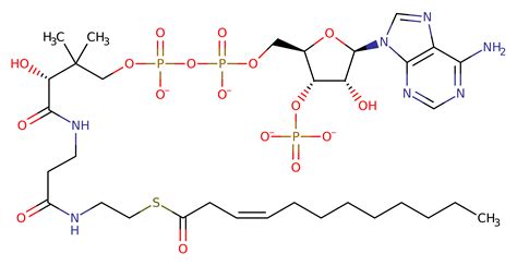 M Csa Mechanism And Catalytic Site Atlas