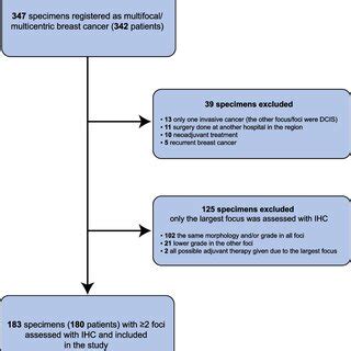 Flowchart Of Patients With Ipsilateral Multifocal Breast Cancer