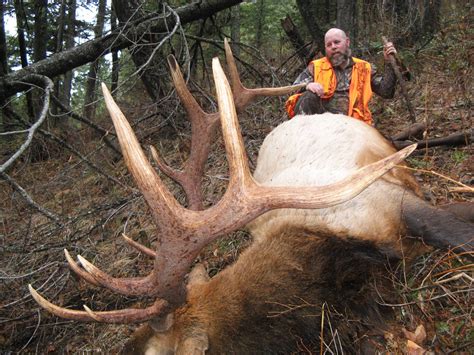 Montana Hunting Outfitter Elk Hunting Deer Bear Mt Lion Montana