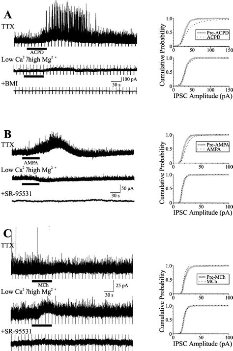 Control Of Dendritic Outputs Of Inhibitory Interneurons In The Lateral