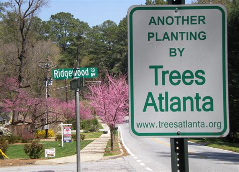 How Trees Atlanta Chooses Planting Locations | Trees Atlanta