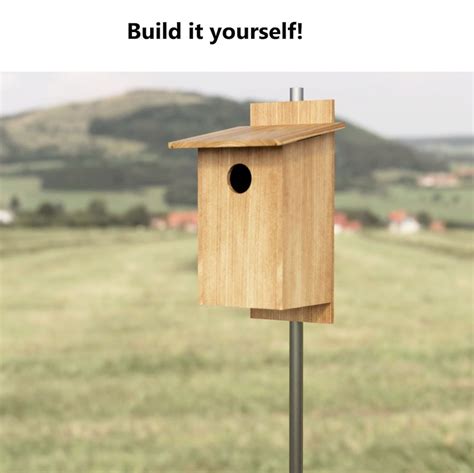 Bird Nest Box Plan Pileated Woodpecker House Plan DIY - Etsy