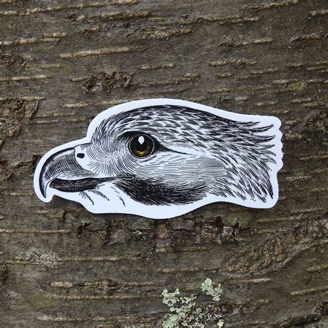 Red Tailed Hawk Sticker Red Tailed Hawk Vinyl Sticker Bird Etsy