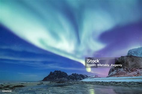 Aurora Borealis On The Lofoten Islands Norway Green Northern Lights