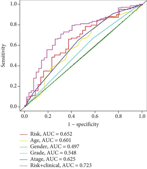 Construction Of A Prognostic Gene Signature Based On Akap12 Associated