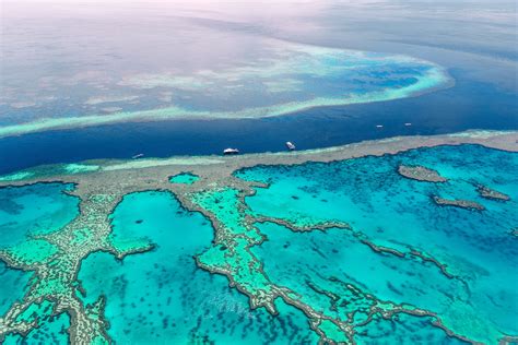 zerstoerst du mit sonnencreme das great barrier reef smdr