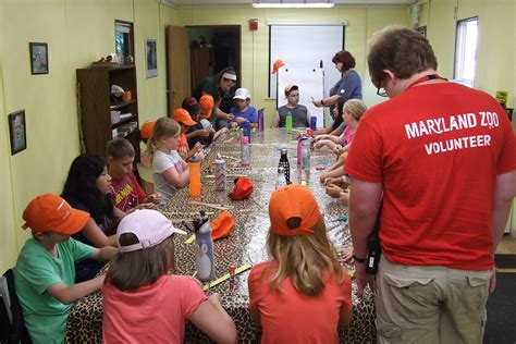 Week-Long Day Camps | The Maryland Zoo