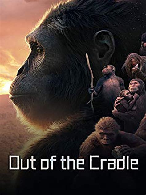 Out Of The Cradle 2018