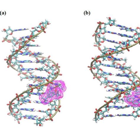 Docking Poses Of 2a A And 2b B With Dna Pdb 1bna Download