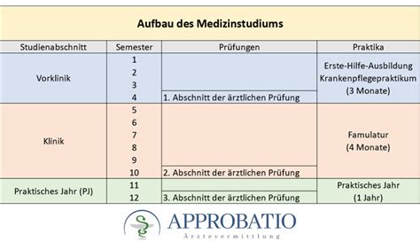 Medizinstudium Dauer Wie Lange Dauert Das Studium