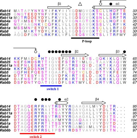 Partial Sequence Alignment Of Rab Gtpases The Sequences Are Truncated