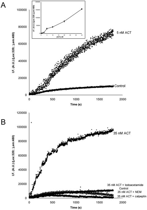 Fluorimetric Calpain Activity Assay Fluorimetric Calpain Activity