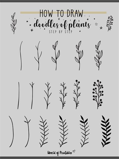 Step-by-Step Guide to Drawing Plant Leaves in Adobe and Photoshop