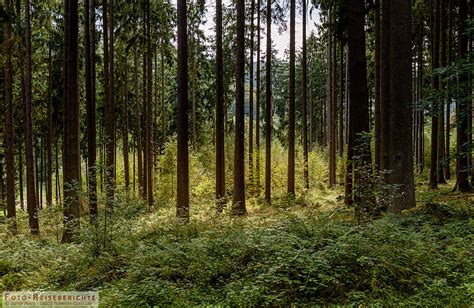 Biggesee Skywalk Tolle Sicht Vom Biggeblick