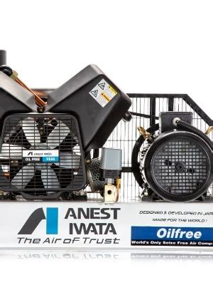 Anest Iwata Oil Free Air Compressors At Best Price In Ballabgarh