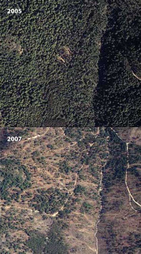 Monitoring Changes Of Forest Canopy Density In A Temperature Forest