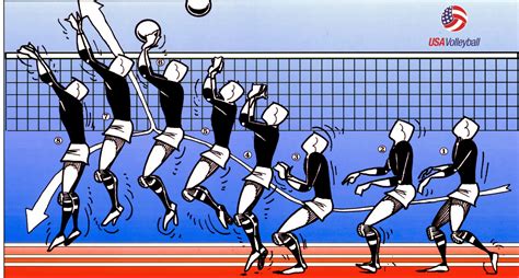 Volleyball: Beyond the Fundamentals