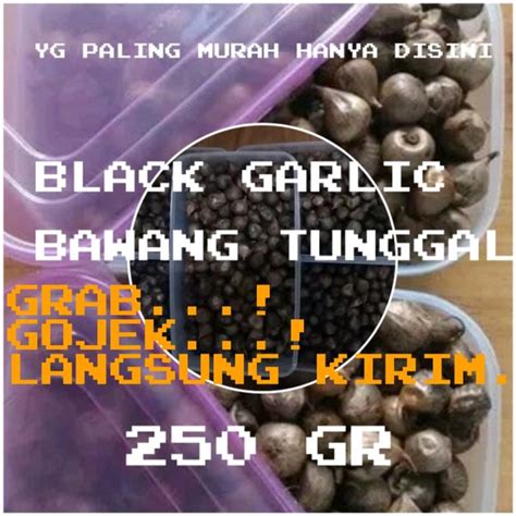 Jual Bawang Putih Hitam Tunggal Gram Black Garlic Bawang Hitam