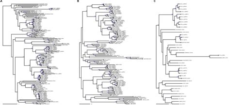 Figures And Data In Evolutionary Dynamics Of Transposable Elements In