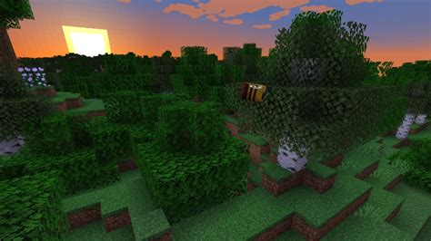 Forest | Minecraft