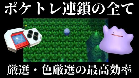 【ダイパリメイク】連鎖のコツ・やり方の全てを徹底解説！ポケトレで厳選・色違い厳選を最高効率でできるようになろう！【ダイヤモンドパール