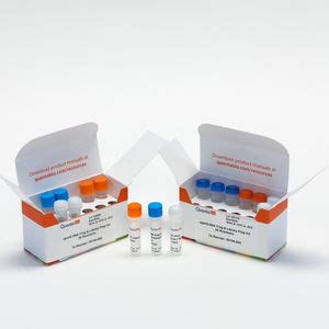 Kit De Reagentes Em Solu O Sparq Quantabio Ngs Para Biologia