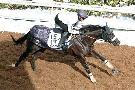 【シルクロードs】ナムラクレア、肩ムチ1発で51秒7の好時計 長谷川師「身のこなしがよく、集中力もあった」 Umatoku 馬トク