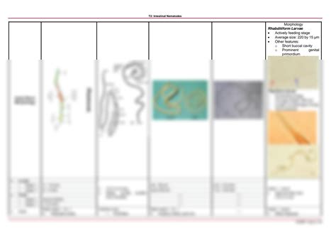 SOLUTION Clinical Parasitology Intestinal Nematodes Studypool