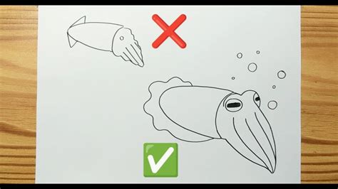 How To Draw A CUTTLEFISH EASY Step By Step YouTube