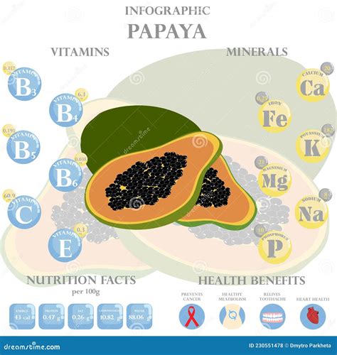 Papaya Nutrition Facts And Health Benefits Infographic Vector