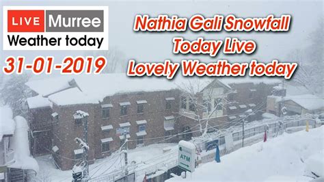 Nathia Gali Snowfall Today Live Lovely Weather Today YouTube