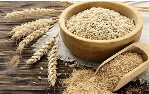 Rici Natural Rice Bran Oryza Extract Ceramide Supplier Ceramide